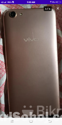Vivi y11
